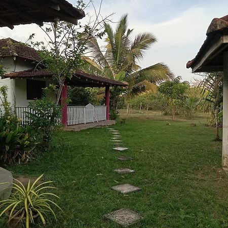 Appartement Sunshine Cafe à Tangalle Extérieur photo