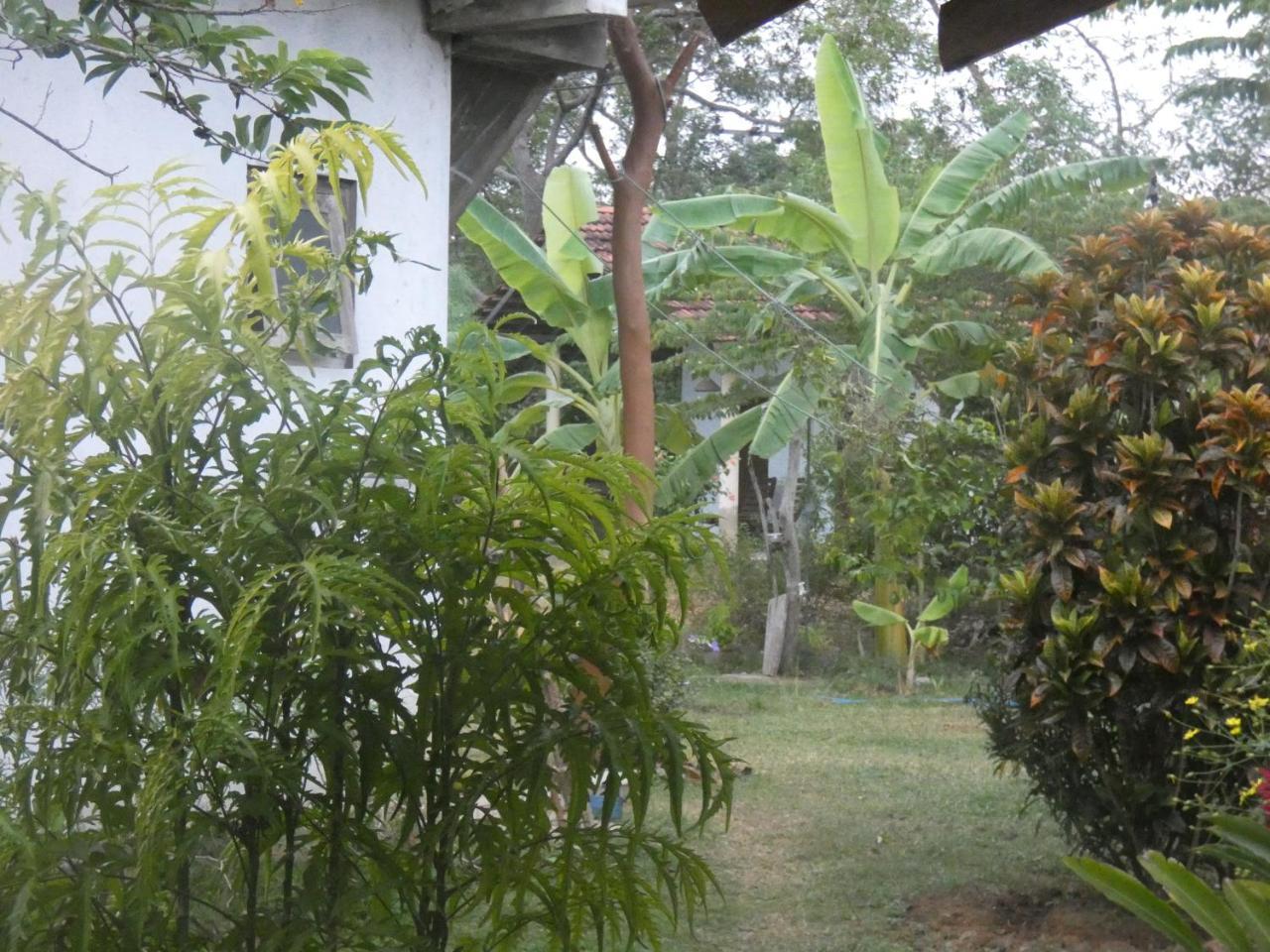 Appartement Sunshine Cafe à Tangalle Extérieur photo