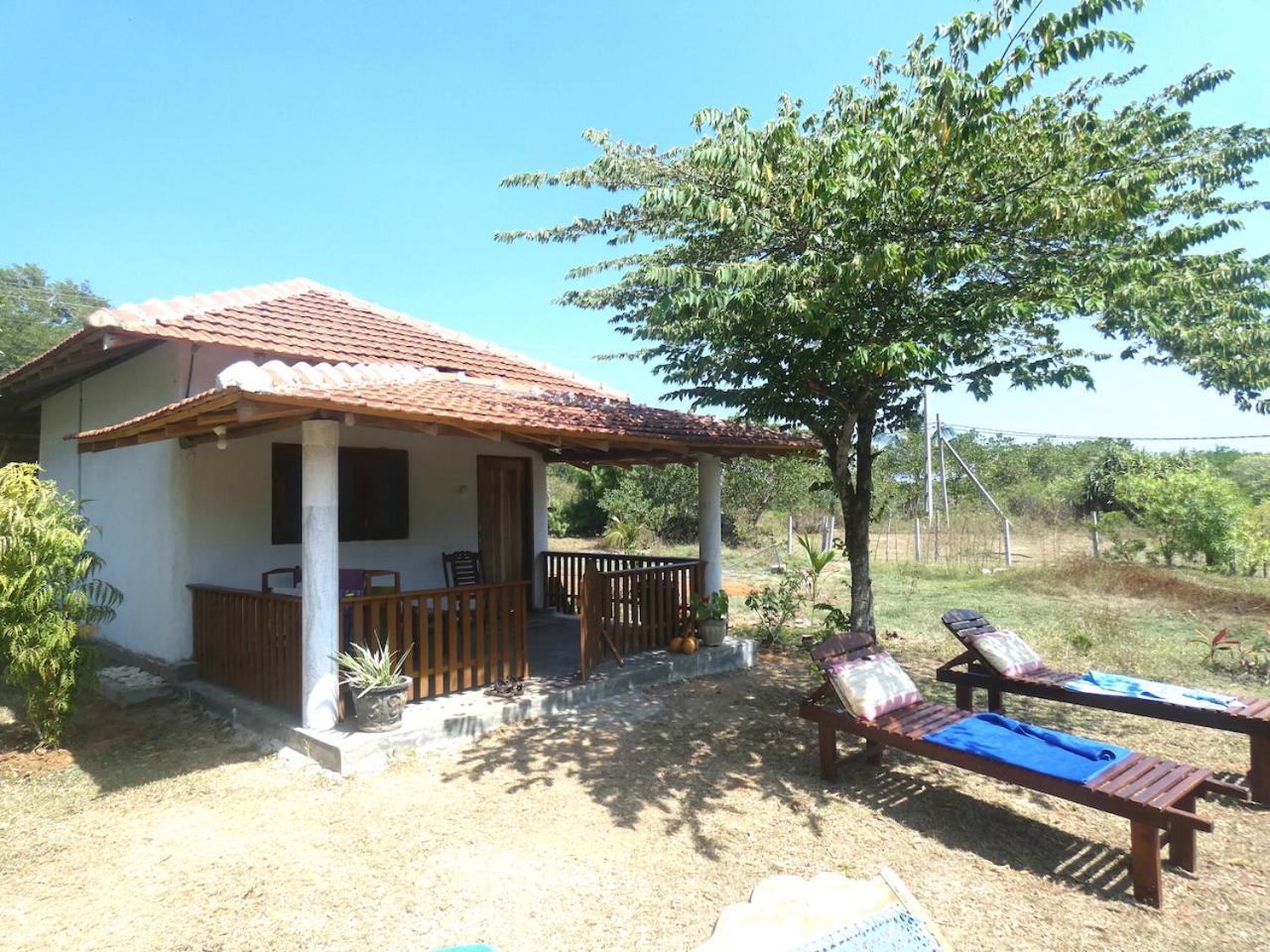 Appartement Sunshine Cafe à Tangalle Extérieur photo